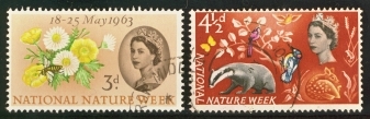 1963 Nature