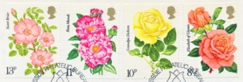 1976 Roses