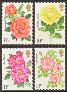 1976 Roses