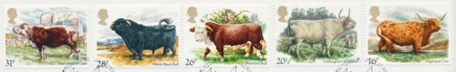 1984 Cattle