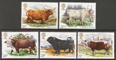 1984 Cattle