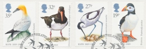 1989 Birds