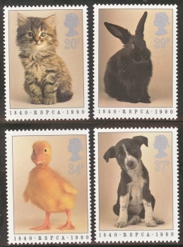 1990 RSPCA.