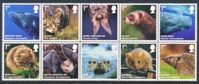 2010 Mammals