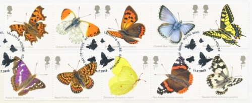 2013 Butterflies