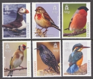 2019 Europa Birds