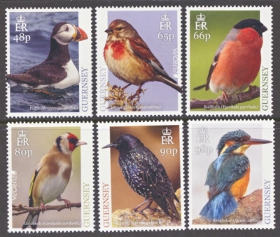 2019 Europa Birds