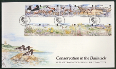 1991 Conservation