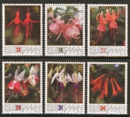 1988 Fuchsias