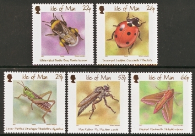 2001 Insects