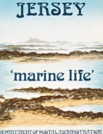 1973 Marine Life