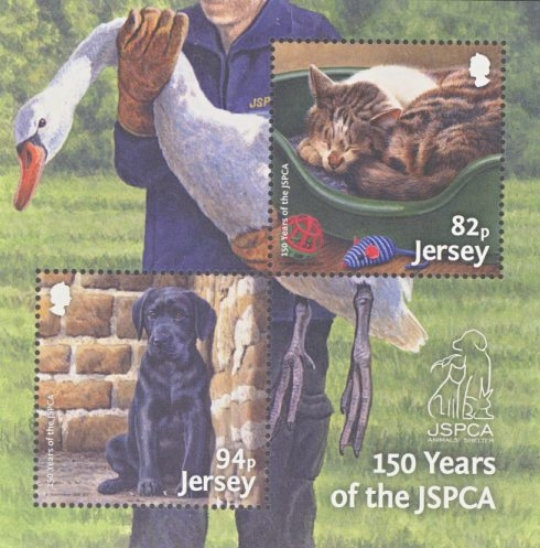 2018 Animals JSPCA  M/S