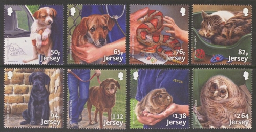 2018 Animals JSPCA