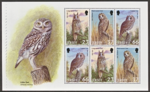 SG 999b Birds Owl