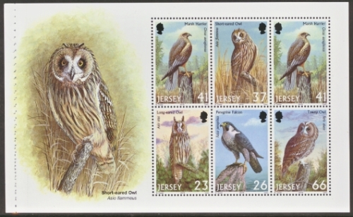 SG 999d Birds Owl