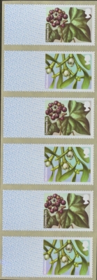 2014 2nd class Winter Greenery 6v Missing Text (the source codes and value)