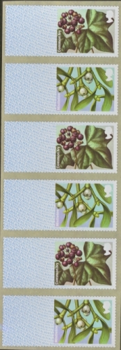 2014 2nd class Winter Greenery 6v Missing Text (the source codes and value)