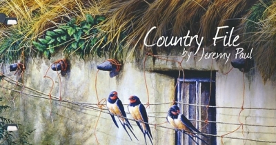 2009 Country Paintings