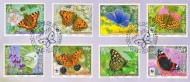 2011 Butterflies