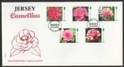 1995 Camellias