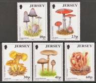 1994 Fungi