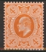 SG 240 4d Orange